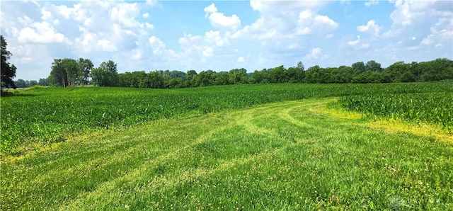 1799 Mcconkey Rd, South Vienna, OH 45369 - photo 6