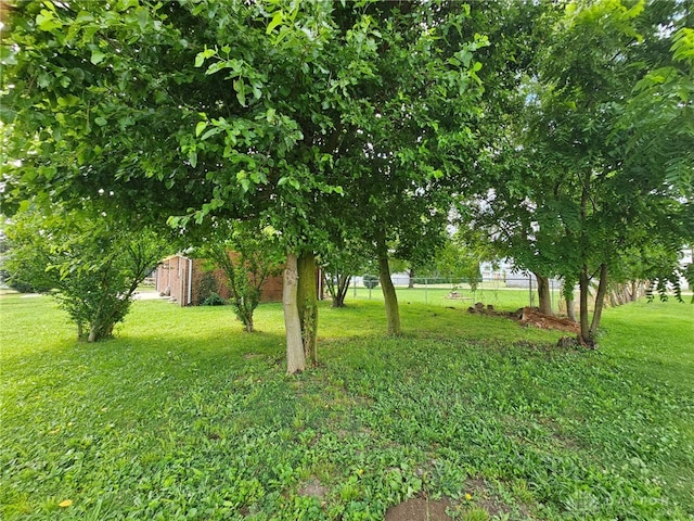 283 Moore St, Lewisburg, OH 45338 - view of yard
