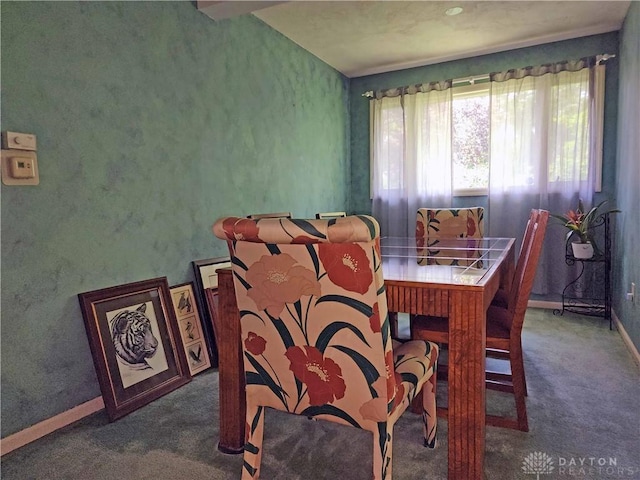 851 E County Line Rd, Springfield, OH 45502 - carpeted dining space featuring baseboards