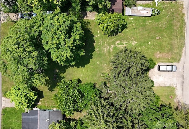 8517 Davis Rd, Maineville, OH 45039 - photo 1