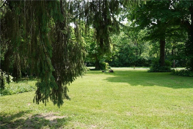 8517 Davis Rd, Maineville, OH 45039 - photo 12