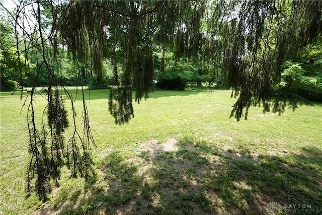 8517 Davis Rd, Maineville, OH 45039 - photo 14