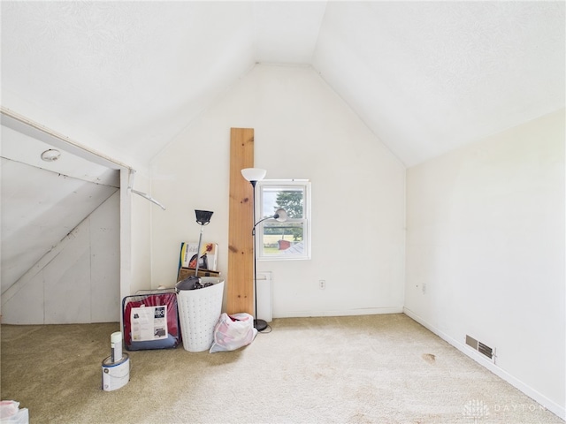 491 Frazers Rd, West Manchester, OH 45382 - additional living space featuring lofted ceiling and carpet flooring