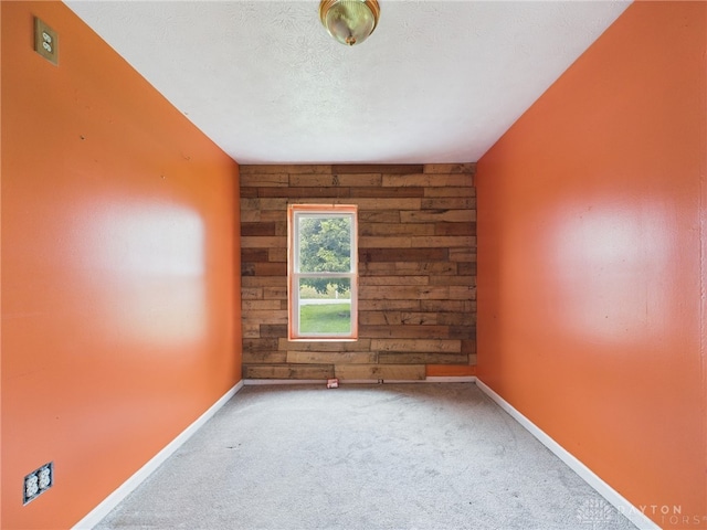 491 Frazers Rd, West Manchester, OH 45382 - unfurnished room with wood walls and carpet