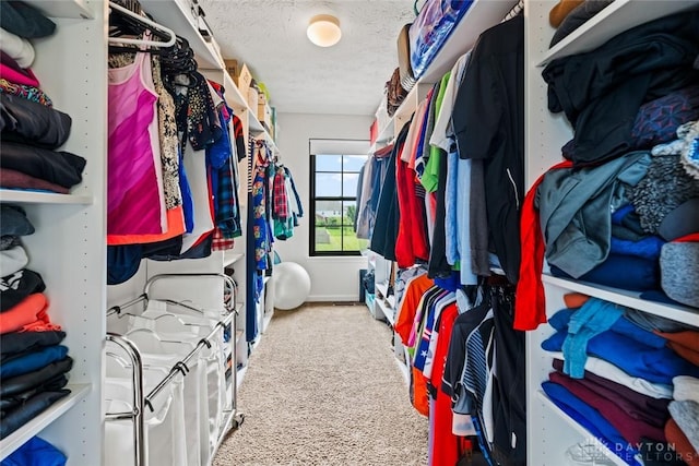 1950 Stone Creek Blvd, Clearcreek Twp, OH 45458 - walk in closet featuring separate washer and dryer and carpet flooring