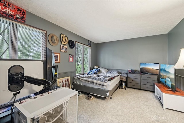 4595 Comanchee Trl, Silver Creek Twp, OH 45335 - bedroom with carpet flooring, wainscoting, and a textured ceiling