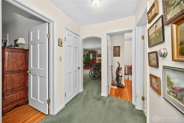 10410 Maria Ave, Springfield Twp, OH 45231 - photo 28