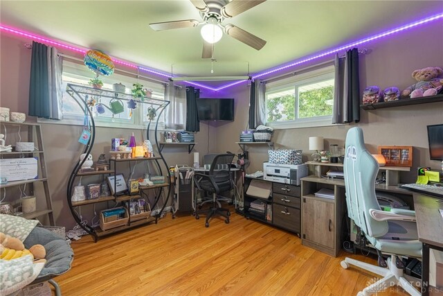 4050 Tacoma St, Springfield, OH 45503 - photo 12