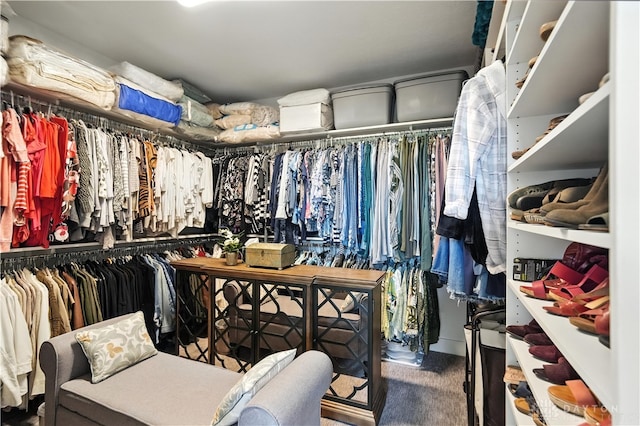 1241 Normandy Rue, Centerville, OH 45458 - walk in closet featuring carpet floors