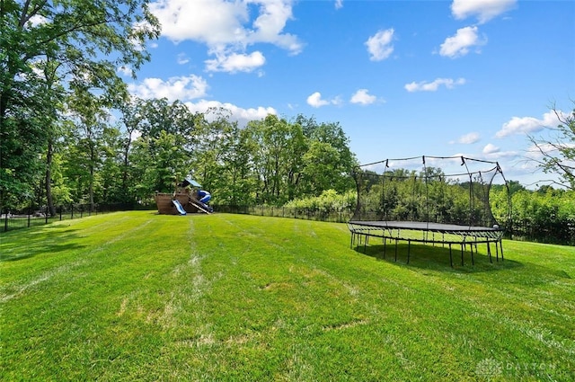 3928 Hudson Hills Ln, Mason, OH 45040 - photo 91