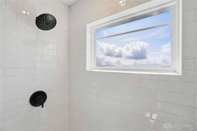 3384 Randall Dr, Cedarville Twp, OH 45314 - bathroom view of a tile shower