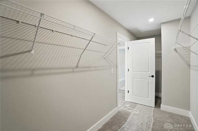 3384 Randall Dr, Cedarville Twp, OH 45314 - spacious closet with carpet