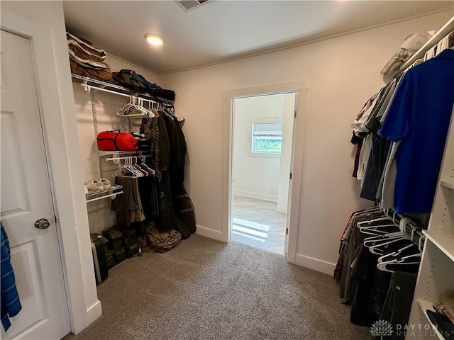 10995 Rockridge Rd, Lewisburg, OH 45338 - walk in closet featuring carpet flooring