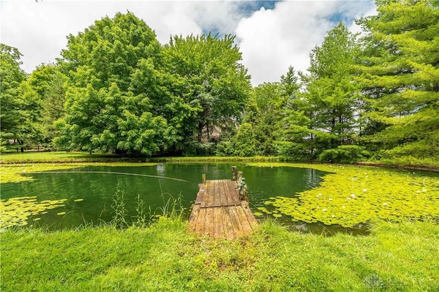 4267 W Wenger Rd, Clayton, OH 45315 - dock with a water view