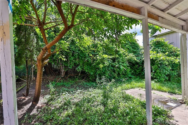 15 Bertus St, Cincinnati, OH 45217 - view of yard