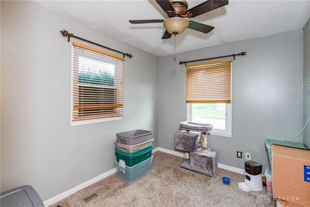 1221 Highview Dr, Fairborn, OH 45324 - misc room with healthy amount of natural light, ceiling fan, and carpet