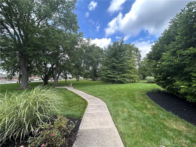 1720 Piper Ln Unit 104, Centerville, OH 45440 - view of green lawn