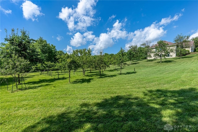 1590 Fairground Rd, Xenia, OH 45385 - view of green lawn featuring a rural view
