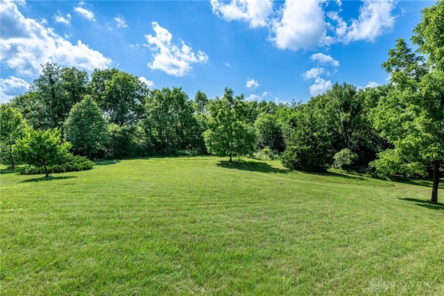 1590 Fairground Rd, Xenia, OH 45385 - view of green lawn