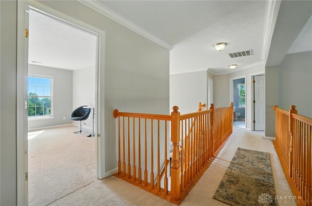 2435 Forest Oaks Dr, Beavercreek, OH 45431 - hallway with an upstairs landing, carpet, ornamental molding, and healthy amount of natural light
