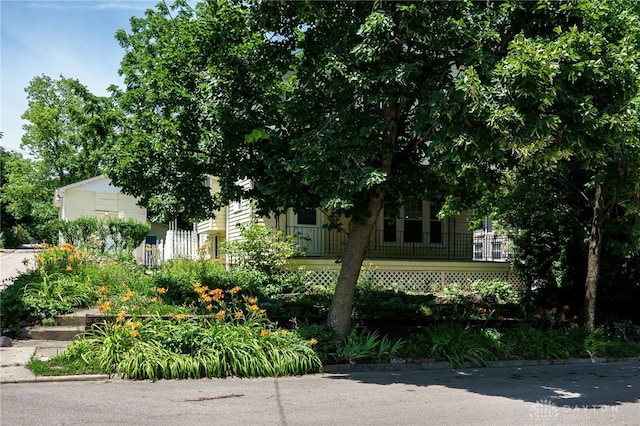 25 Laura Ave, Dayton, OH 45405 - view of obstructed view of property