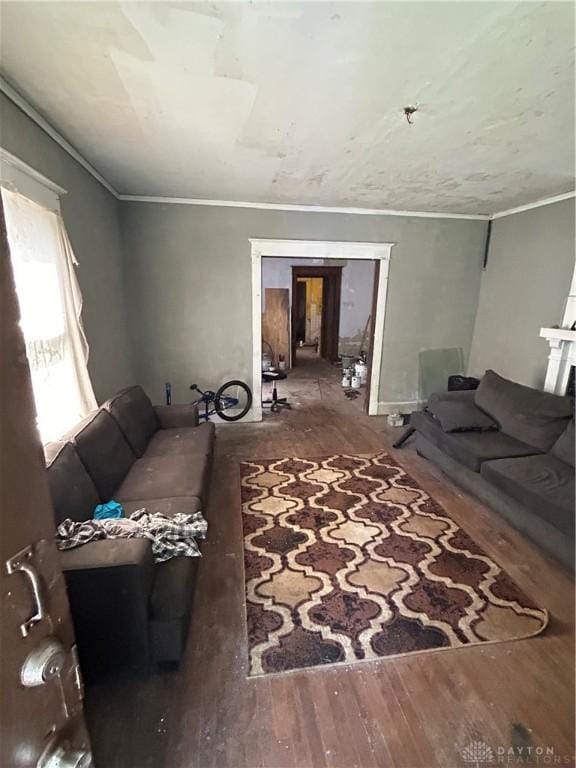 230 Oxford Ave Unit 228, Dayton, OH 45402 - living area with wood finished floors and ornamental molding