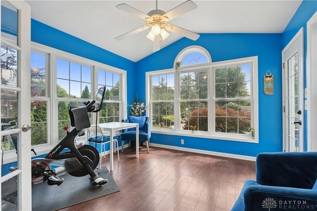 395 Victoria Pl, Waynesville, OH 45068 - exercise room with vaulted ceiling, plenty of natural light, ceiling fan, and wood finished floors