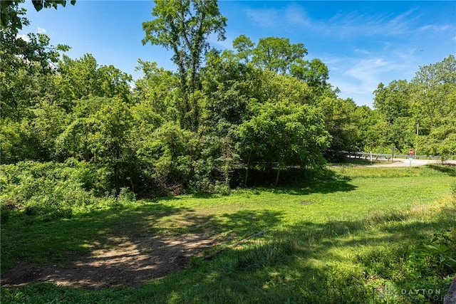 989 Ogden Rd, Adams Twp, OH 45177 - view of green lawn featuring a forest view