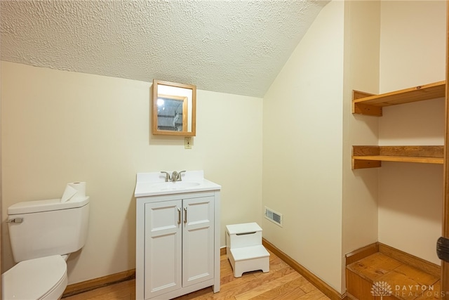 989 Ogden Rd, Adams Twp, OH 45177 - bathroom with vanity, a textured ceiling, wood finished floors, and lofted ceiling