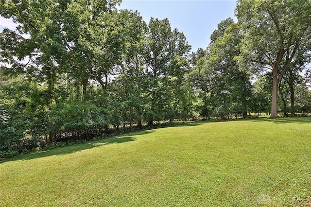 11 Peterson Pl, Wilmington, OH 45177 - view of green lawn