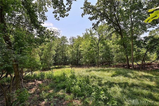 11 Peterson Pl, Wilmington, OH 45177 - view of tree filled area
