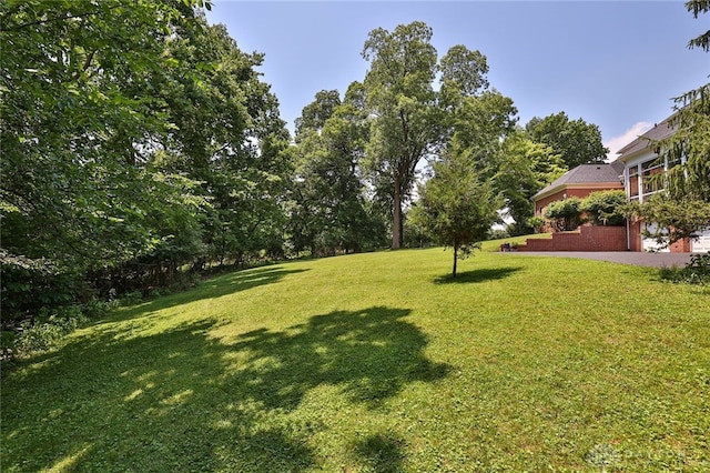 11 Peterson Pl, Wilmington, OH 45177 - view of green lawn