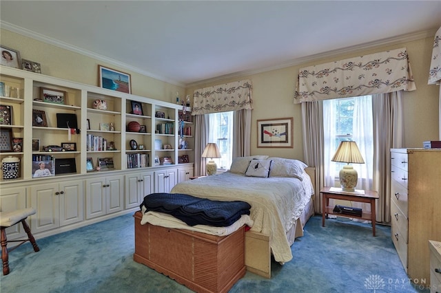 11 Peterson Pl, Wilmington, OH 45177 - bedroom featuring carpet floors, multiple windows, and ornamental molding