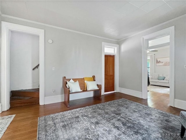 346 Lafayette Ave, Urbana, OH 43078 - photo 17