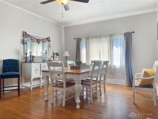 346 Lafayette Ave, Urbana, OH 43078 - photo 19