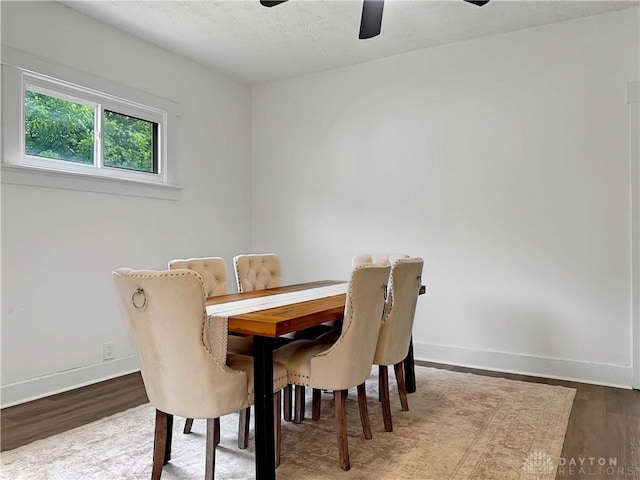 425 Buckeye St, Urbana, OH 43078 - photo 17