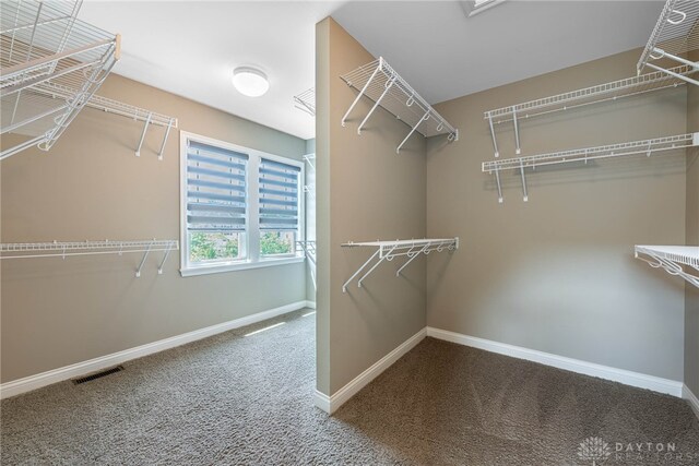 225 Woodstream Dr, Springboro, OH 45066 - spacious closet with carpet