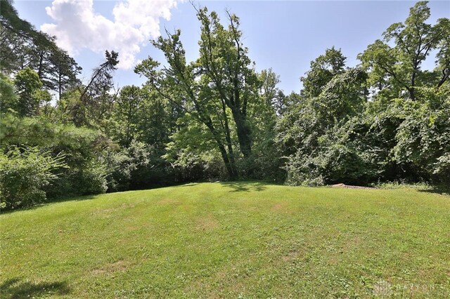 798 Carini Ln, Cincinnati, OH 45218 - view of grassy yard
