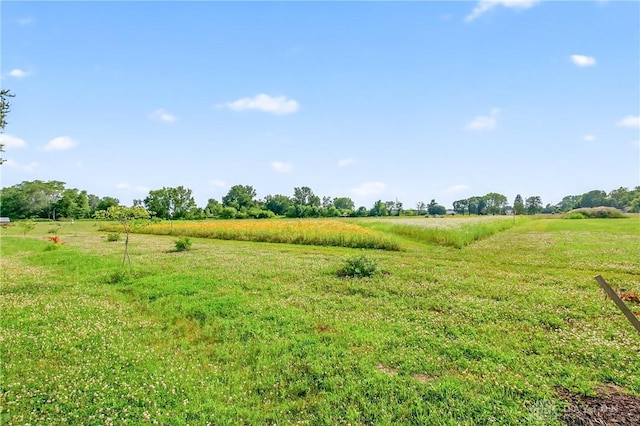 7109 Hancock, Russells Point, OH 43348 - view of yard with a rural view
