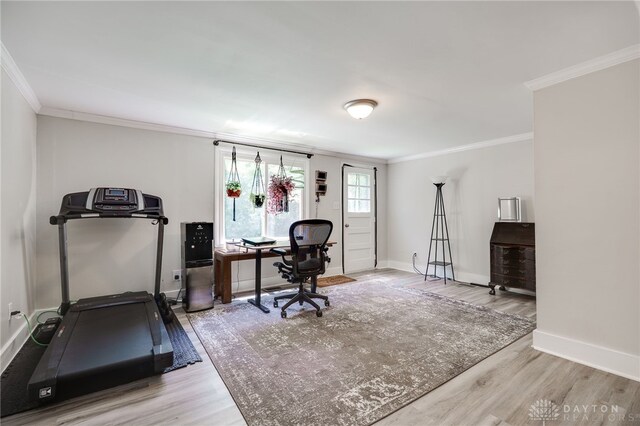 541 E Main St, Xenia, OH 45385 - office space with ornamental molding and light wood finished floors