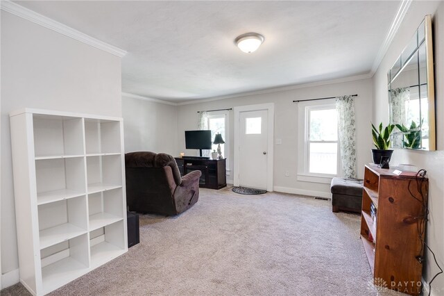 541 E Main St, Xenia, OH 45385 - carpeted living area featuring ornamental molding