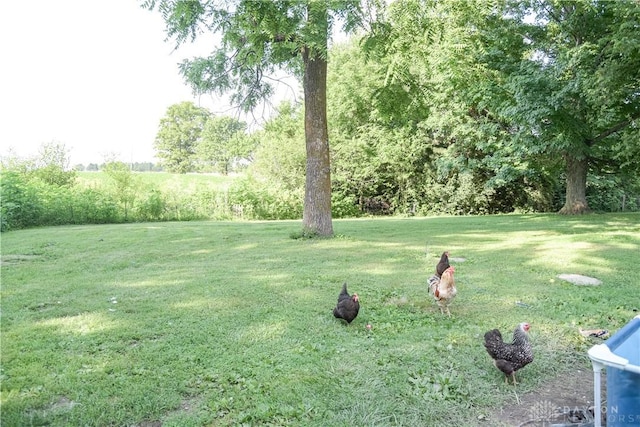4741 Wolverton Rd, Eaton, OH 45320 - view of grassy yard