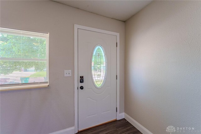 1110 Langdale Ave, New Carlisle, OH 45344 - entrance foyer featuring healthy amount of natural light and dark wood-style flooring