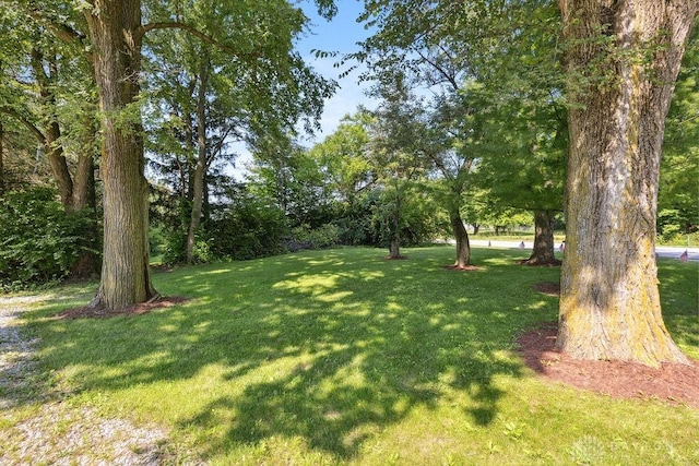 2640 N Dayton Lakeview Rd, New Carlisle, OH 45344 - photo 6
