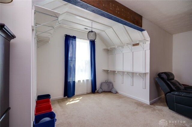 2933 E Ambrosia Ln, Xenia, OH 45385 - bonus room with carpet flooring and vaulted ceiling