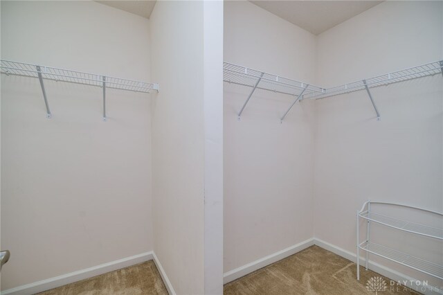 2933 E Ambrosia Ln, Xenia, OH 45385 - walk in closet with carpet flooring