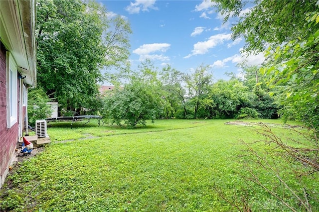 36 Leaman St, Xenia, OH 45385 - view of green lawn with a trampoline