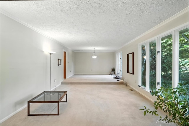 328 Shadywood Dr, Clayton, OH 45415 - unfurnished living room with plenty of natural light, carpet floors, ornamental molding, and a textured ceiling