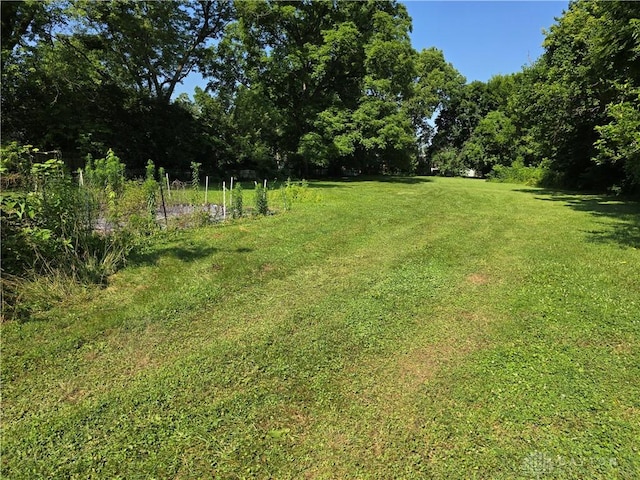 1119 N Maple St, Eaton, OH 45320 - view of green lawn featuring a wooded view