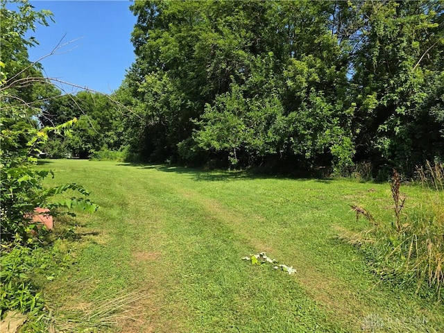 1119 N Maple St, Eaton, OH 45320 - view of green lawn